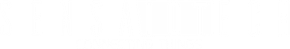 SensaIoTech Logo